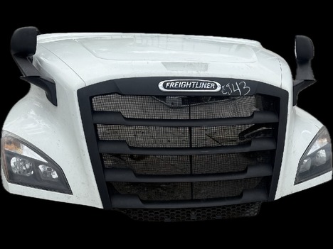 2020 FREIGHTLINER Cascadia 126 Hood #2319