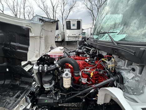 NEW 2026 HINO L7 REEFER TRUCK #$vid