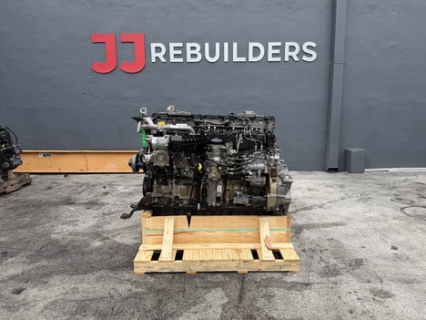2018 DETROIT DD15 Truck Engine #4613