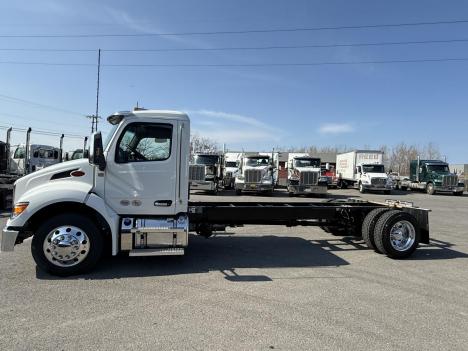 2025 PETERBILT 536 Rollback Truck #10154