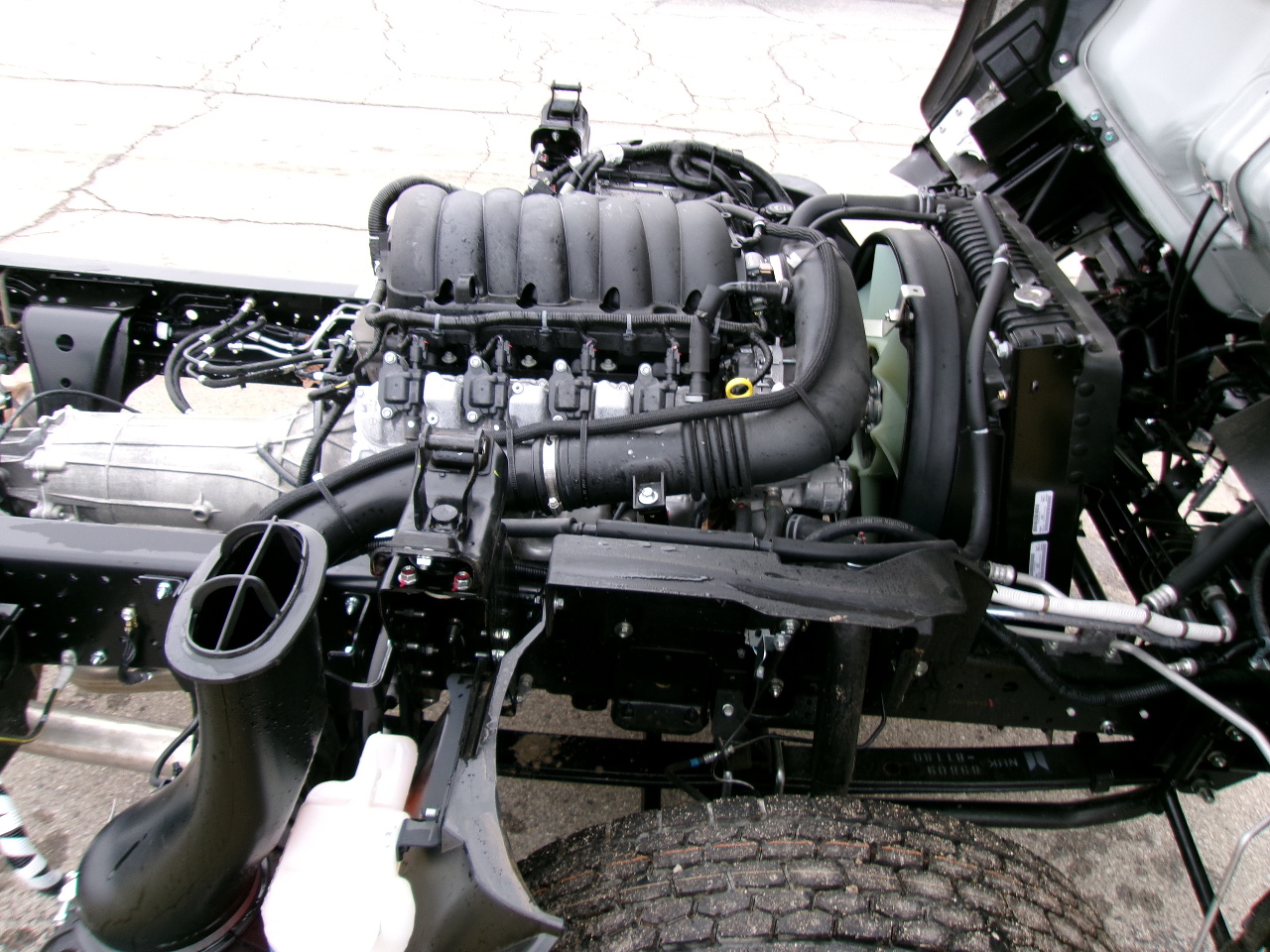 2025 Isuzu - image 12