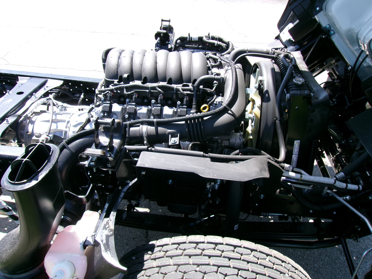 2026 Isuzu - image 12