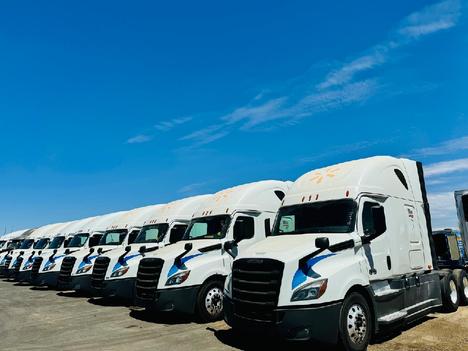 2021 FREIGHTLINER Cascadia 126 Sleeper