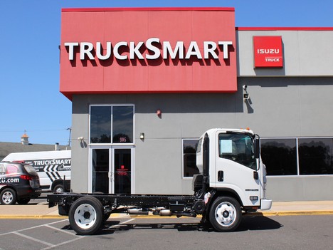 NEW 2024 ISUZU NPR-HD CAB CHASSIS TRUCK #14177-9