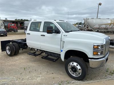 Curriculum vitae 2108 picture